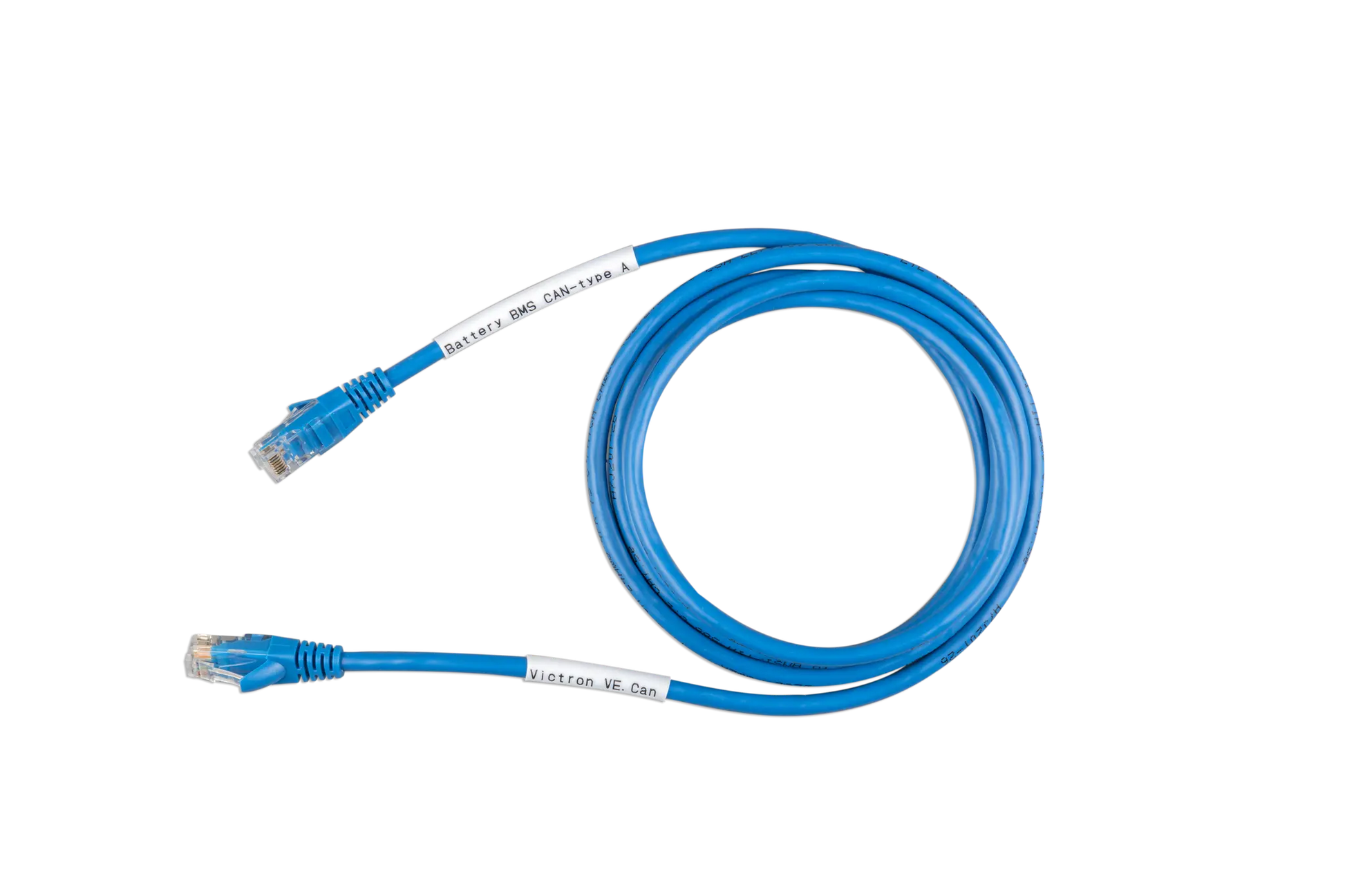 Blue Ethernet cable coiled on a white background