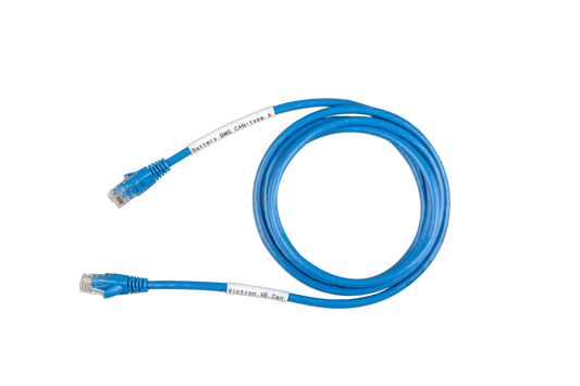 Blue Ethernet cable coiled on a white background