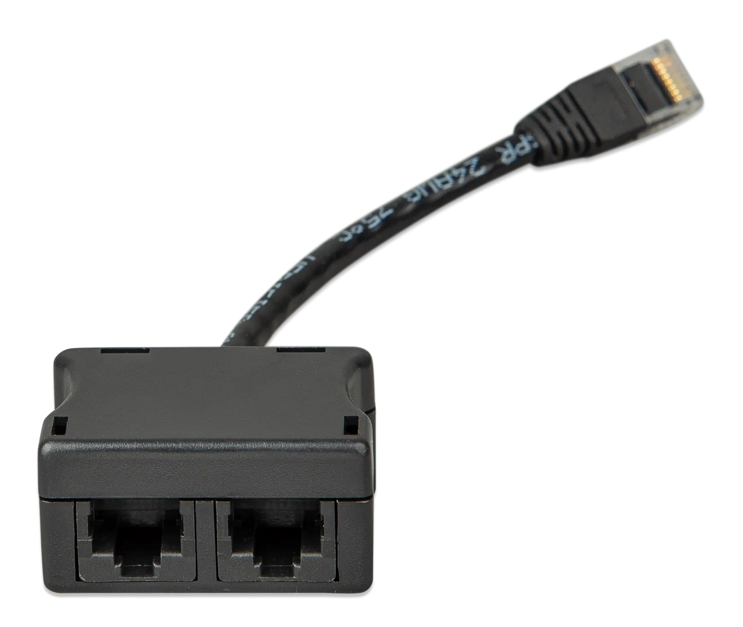 Network cable with a splitter on a white background