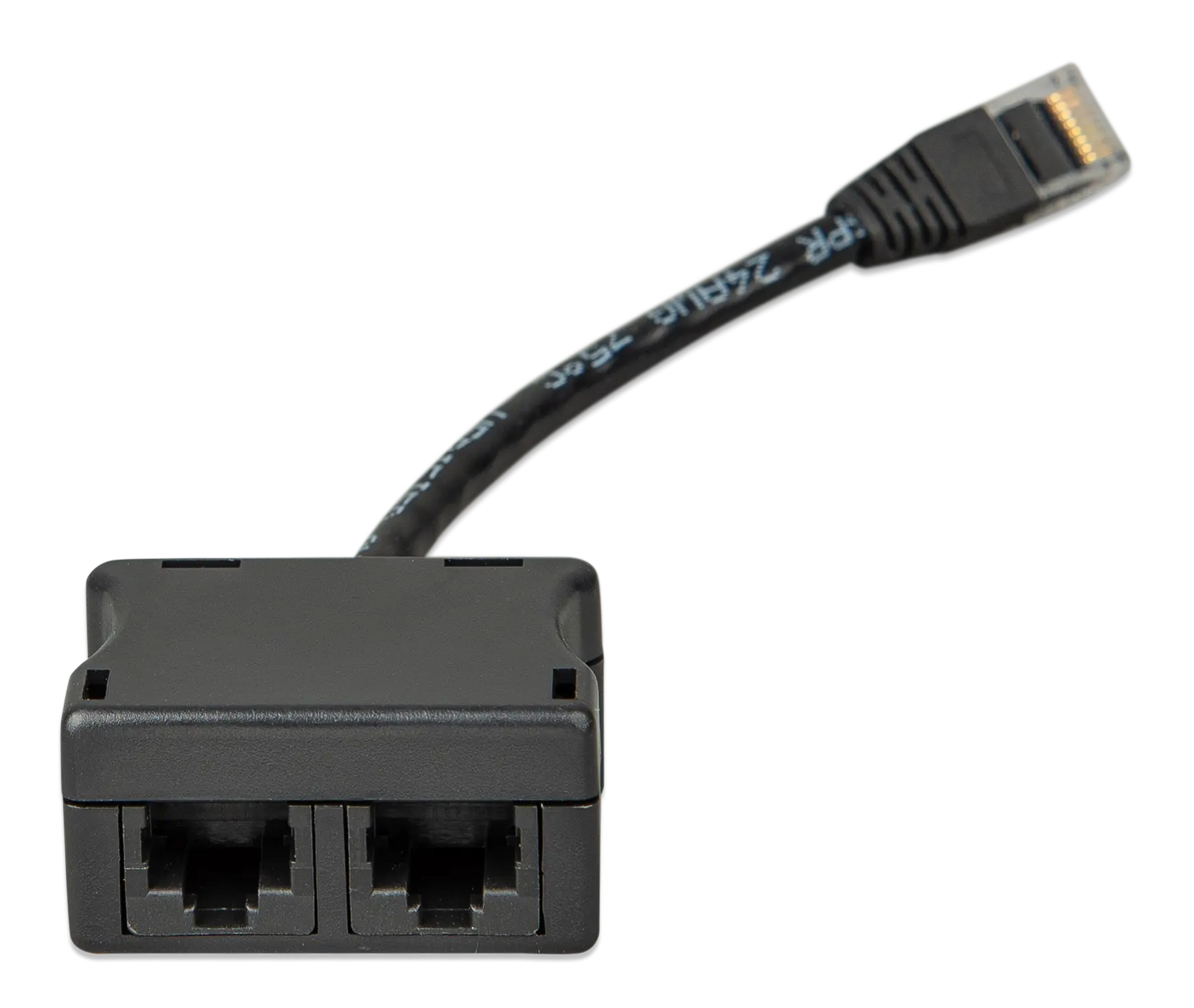 Network cable with a splitter on a white background